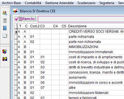 Bilancio Direttiva CEE